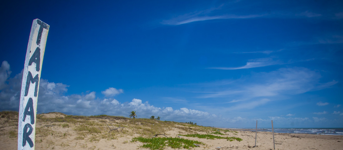 Novas lâmpadas foram instaladas no Pontal da Barra, entre os municípios da Barra dos Coqueiros e Pirambu - Fotos: Mario Sousa/Sedurbs