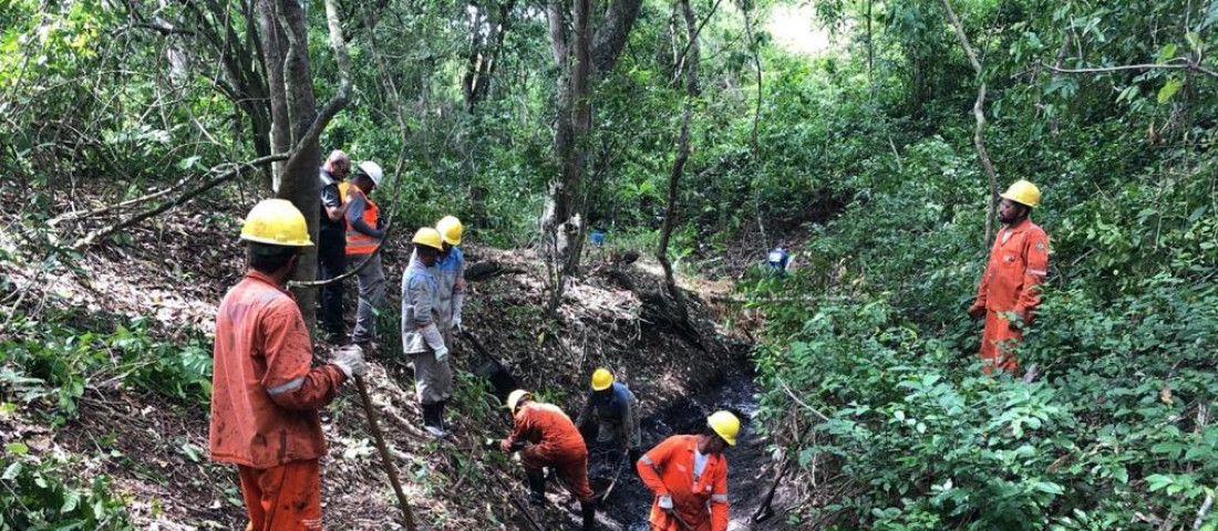 Adema notifica Petrobras sobre vazamento de óleo em Riachuelo / Fotos: Adema
