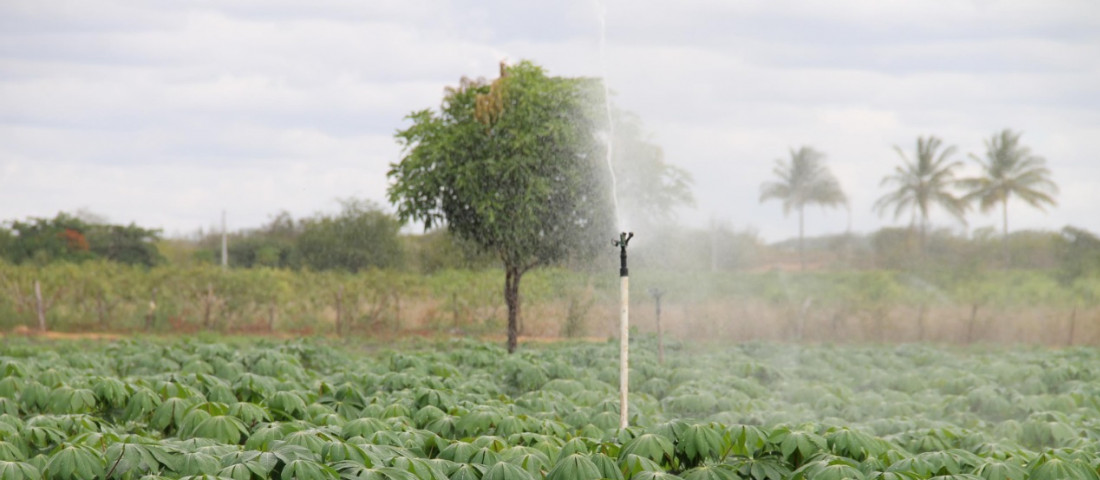 Fotos: Fernando Augusto