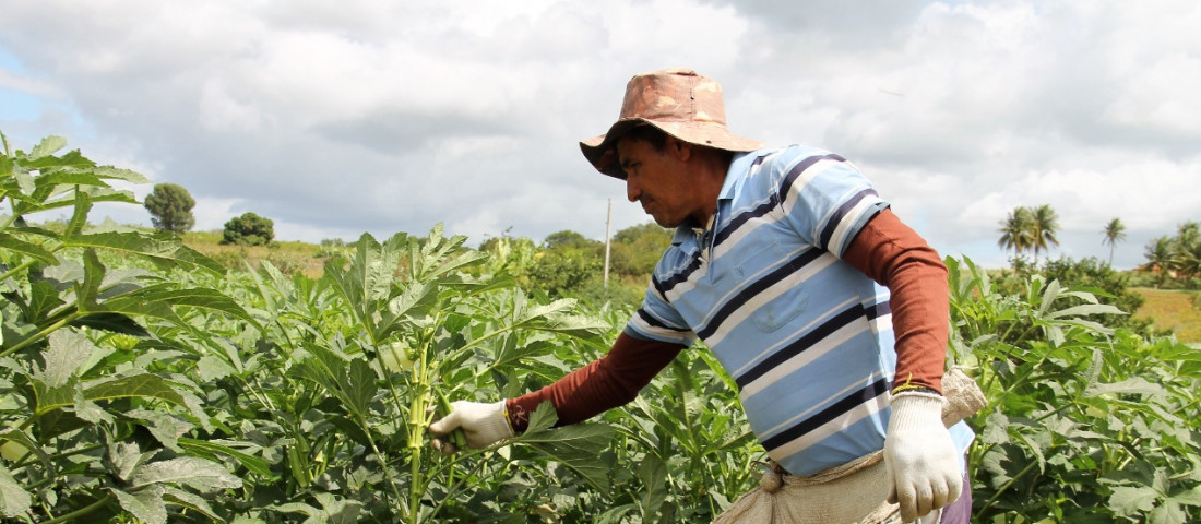 Foto: Fernando Augusto/Cohidro