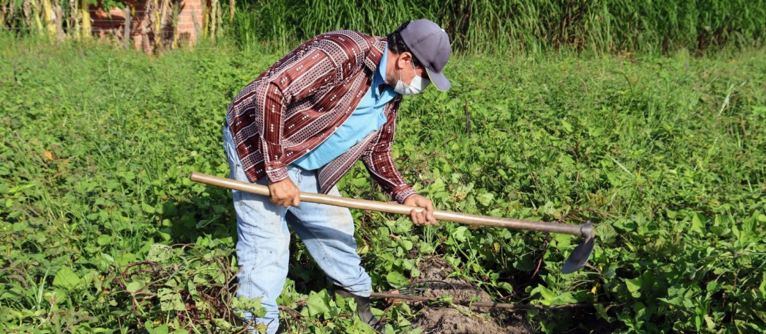 Fotos: Fernando Augusto