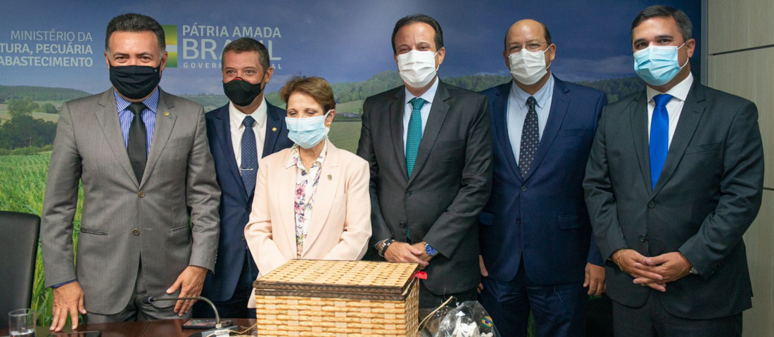 Fotos: Ascom/Seagri
