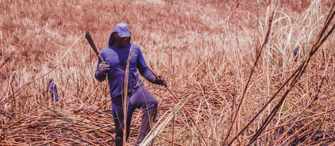 Foto: Pritty Reis/ Seias