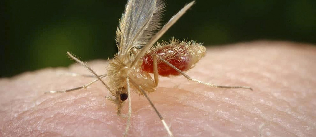Aos primeiros sintomas, é preciso buscar atendimento médico na unidade de saúde mais próxima