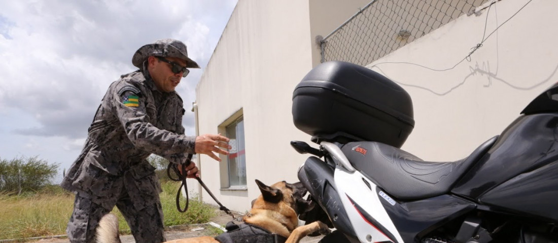 População vem aprovando estratégia de segurança / Fotos: Ascom SSP