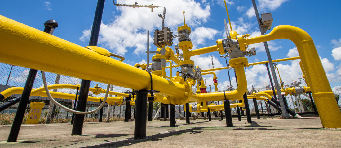 Foto: Arthuro Paganini