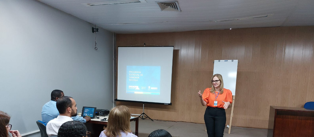 Aparecida Andrade garante que a Emdagro vem se preparando para esse trabalho de prevenção e enfrentamento à influenza aviária desde o ano passado  /  Foto: Emdagro