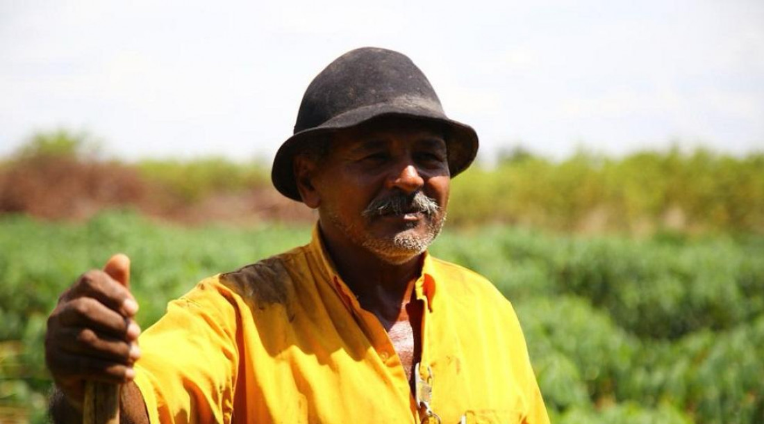 Agricultores terão até o dia 21 de março para aderirem ao programa / Foto: Ascom Seagri