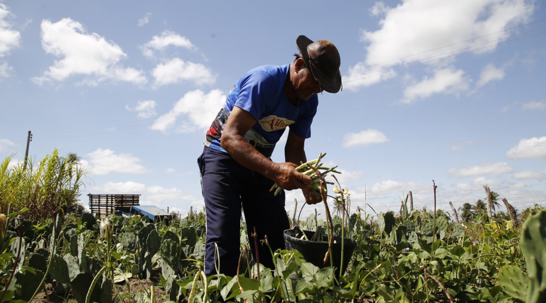 O agricultor João de Sá | Foto: Vieira Neto