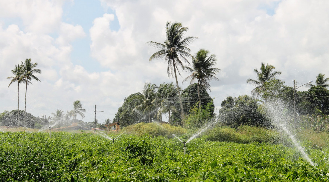 Irrigação pública da Coderse beneficia 14 mil pessoas com emprego e renda no campo / Foto: Fernando Augusto/Ascom Coderse