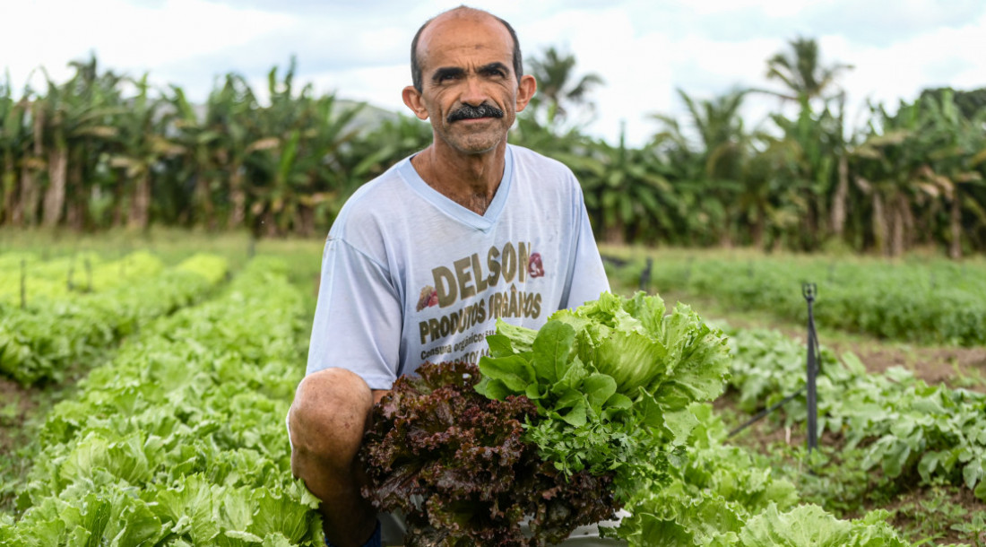 Santander estima que produção agropecuária sergipana cresça 7% em 2024   /  Foto: Erick O'Hara