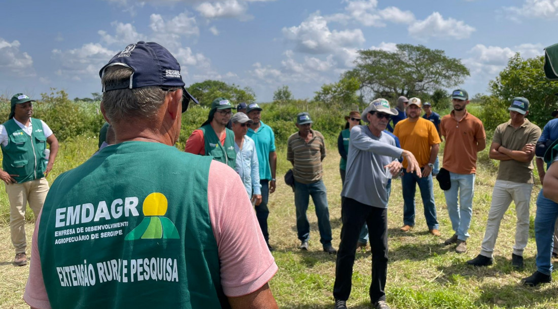 Foto: Carlos Mariz