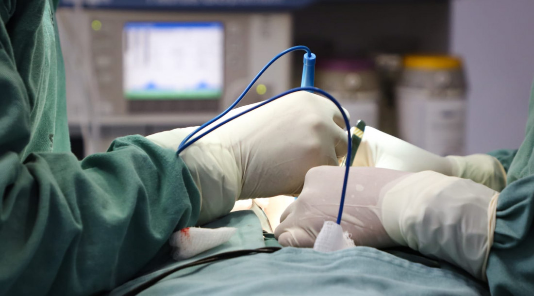 Foto: Flávia Pacheco