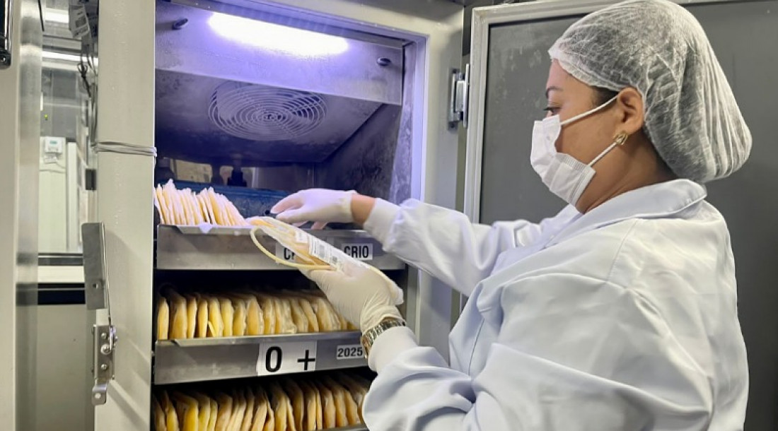 O plasma é dos componentes do sangue utilizado na produção de medicamentos para pacientes com doença hematológicas e autoimunes  //Foto: Ascom SES