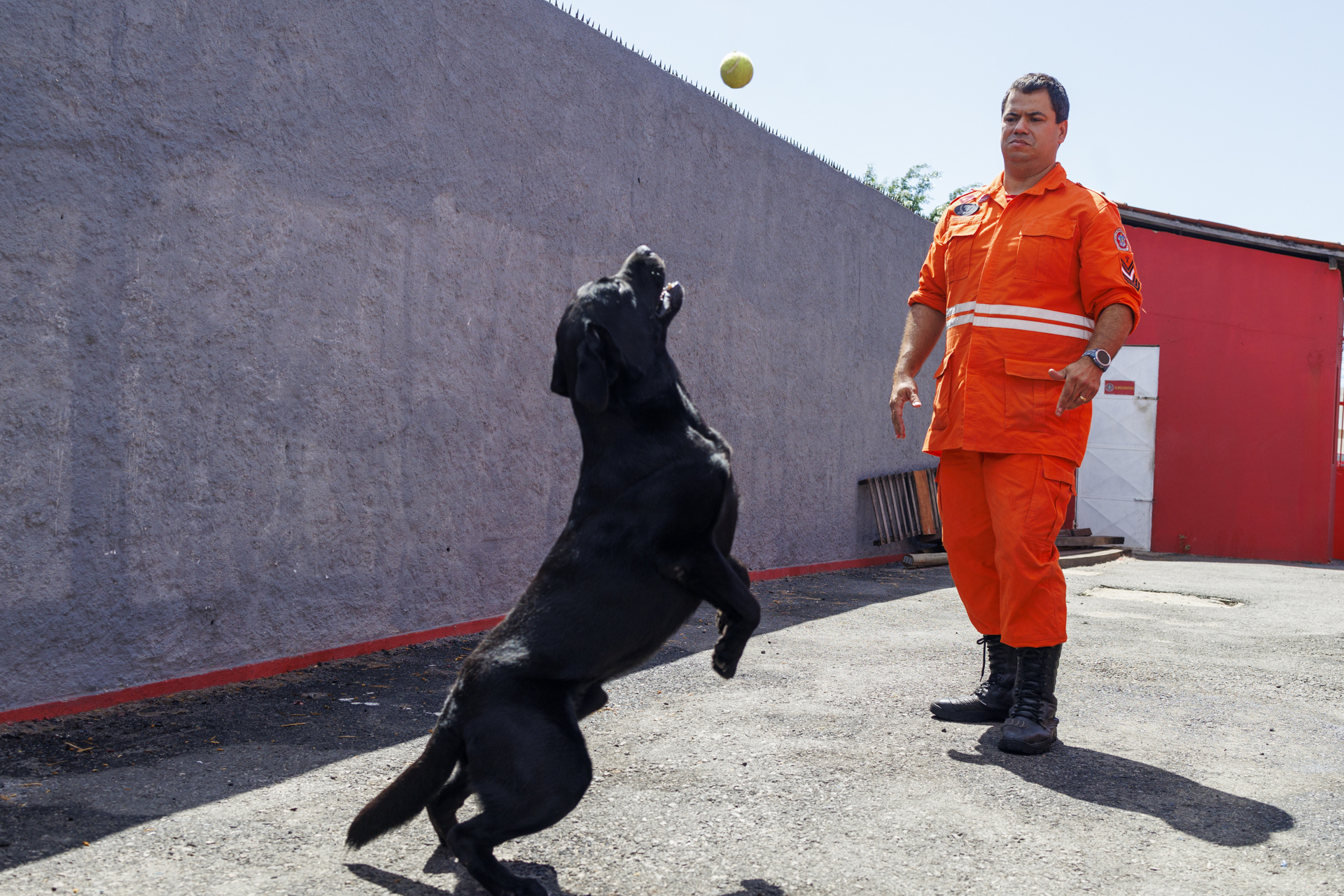 O treinamento de um cão leva cerca de dois anos e é conduzido por militares especializados que, por sua vez, recebem capacitação em instituições nacionais e internacionais // Foto: Igor Matias