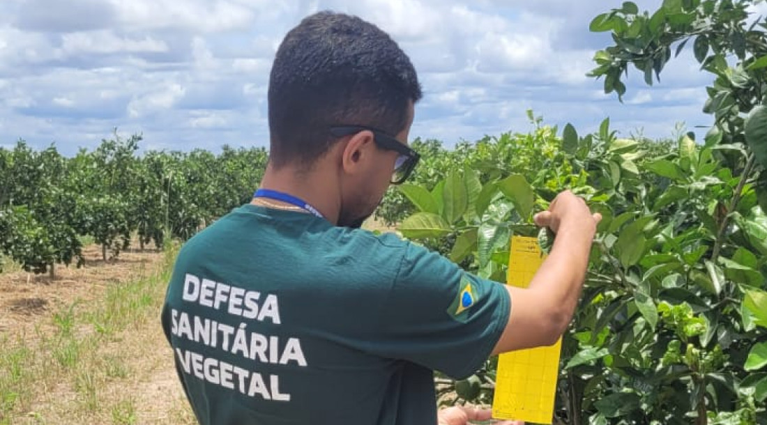 Fotos: Ascom Emdagro