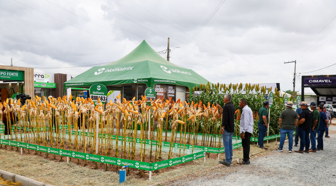 Eventos como o Sealba Show se tornam essenciais para fomentar negócios, apresentar inovações e fortalecer a cadeia produtiva do agronegócio/Foto Igor Matias