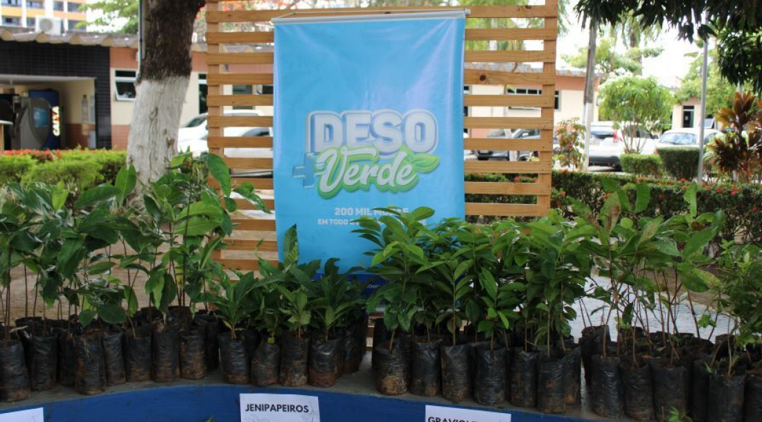 Foto: Ascom Deso