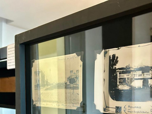 Foto 1