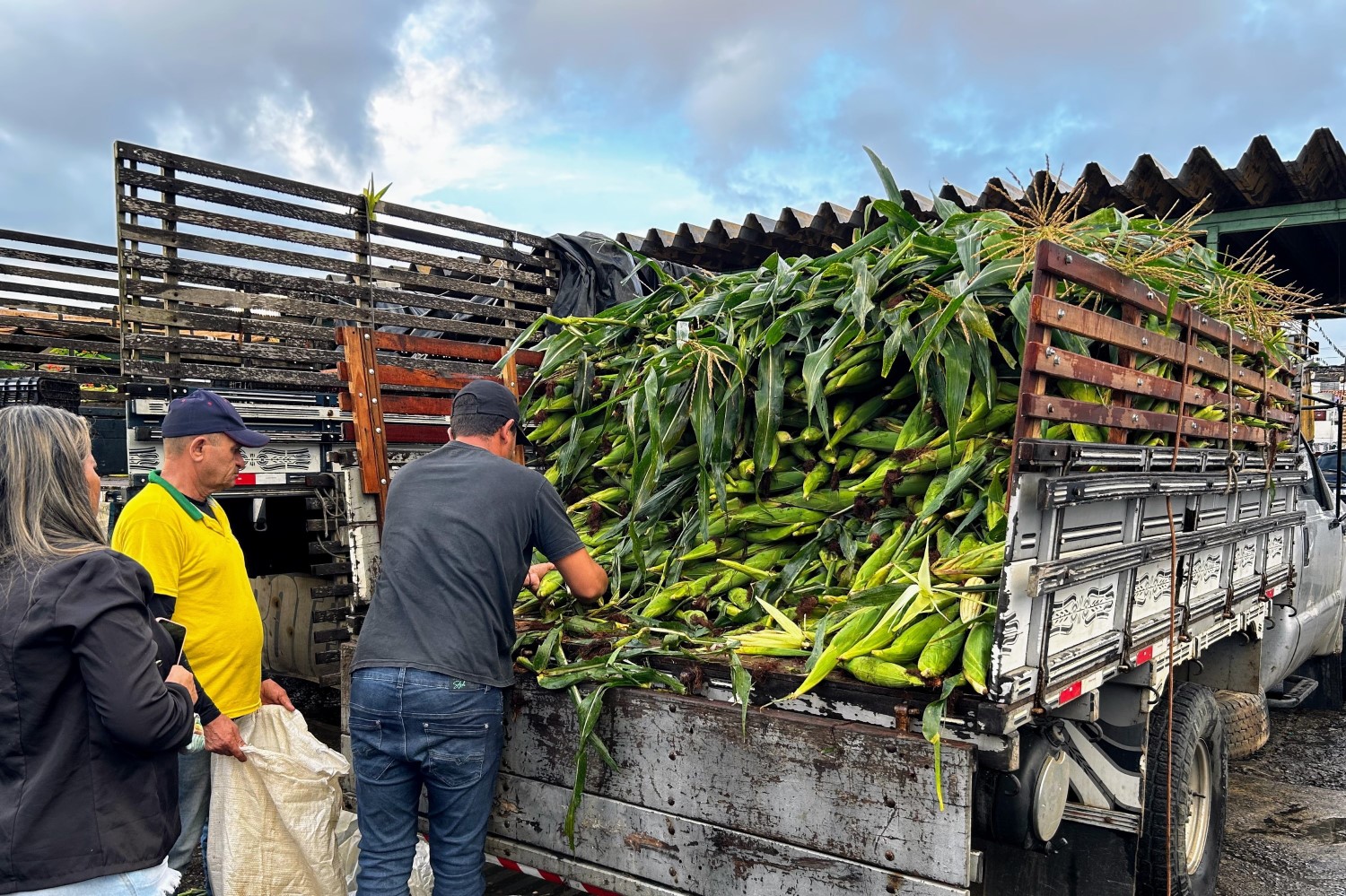 Quarto dia de feira contou com oito caminhões carregados de milho verde / Foto: Fernando Augusto
