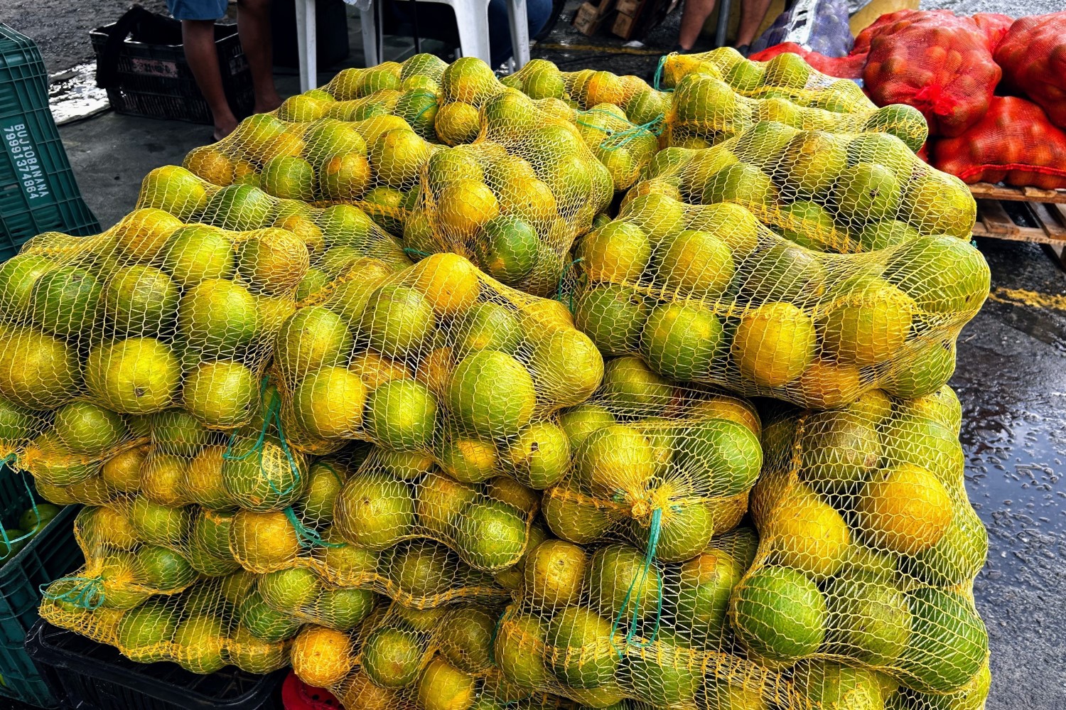 A laranja é produto de exportação em Sergipe, faz parte da tradição junina e está disponível à venda no atacado e varejo na feira da Ceasa / Foto: Fernando Augusto