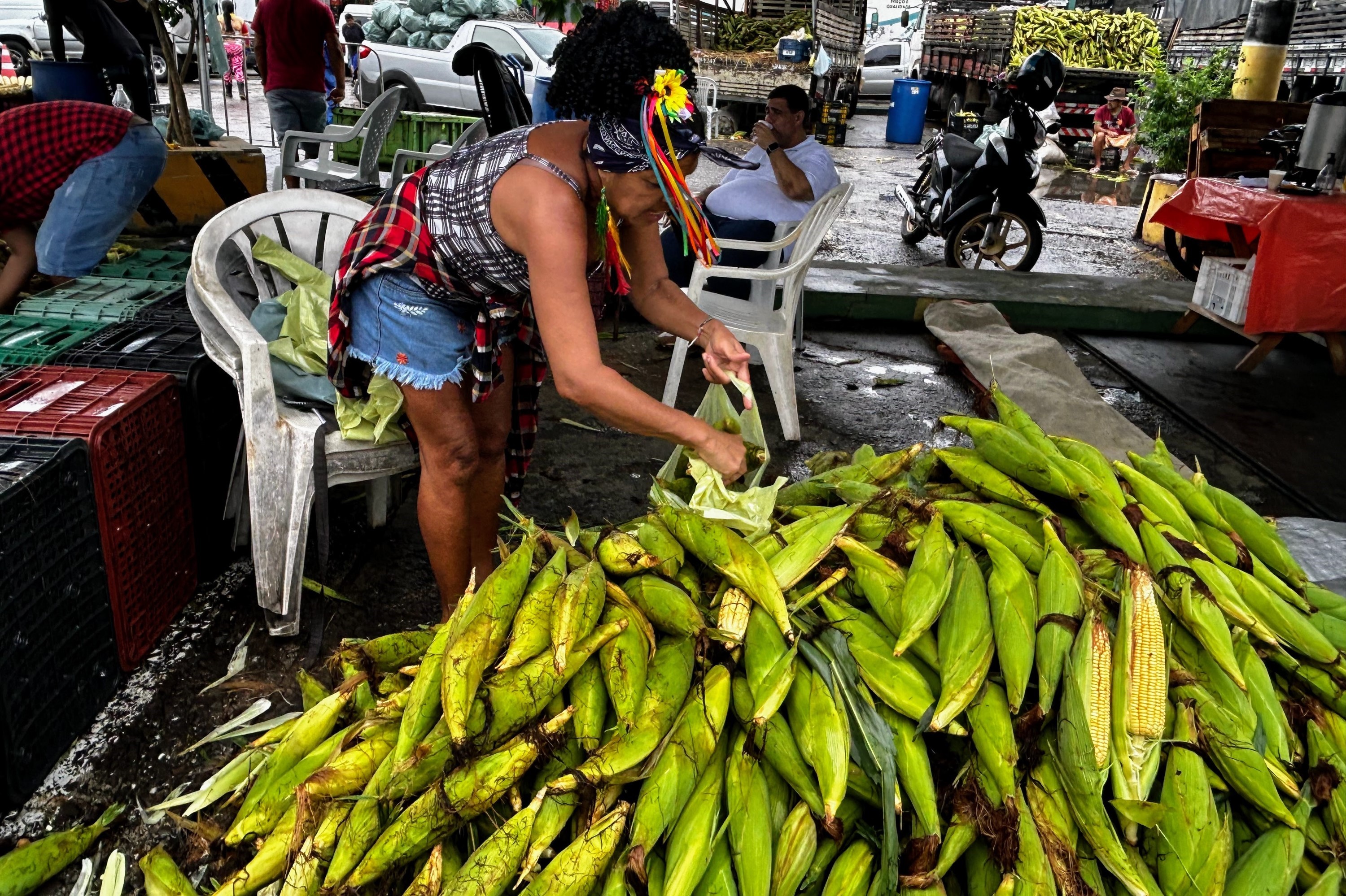 Milho verde é o principal produto comercializado na Feira Junina da Ceasa / Foto: Fernando Augusto