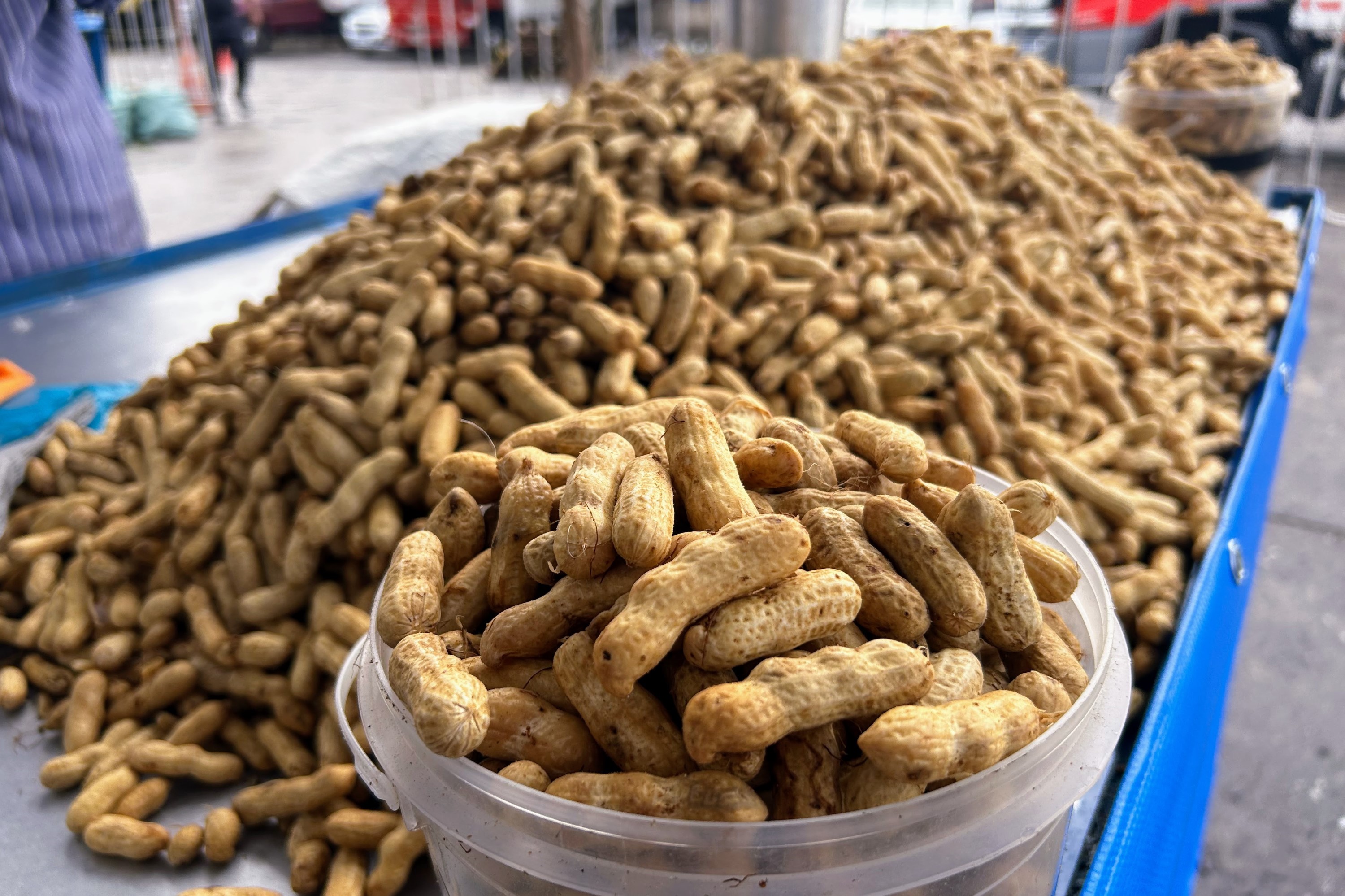 Feira Junina da Ceasa tem bastante oferta de amendoim cozido, Patrimônio Imaterial Sergipano / Foto: Fernando Augusto