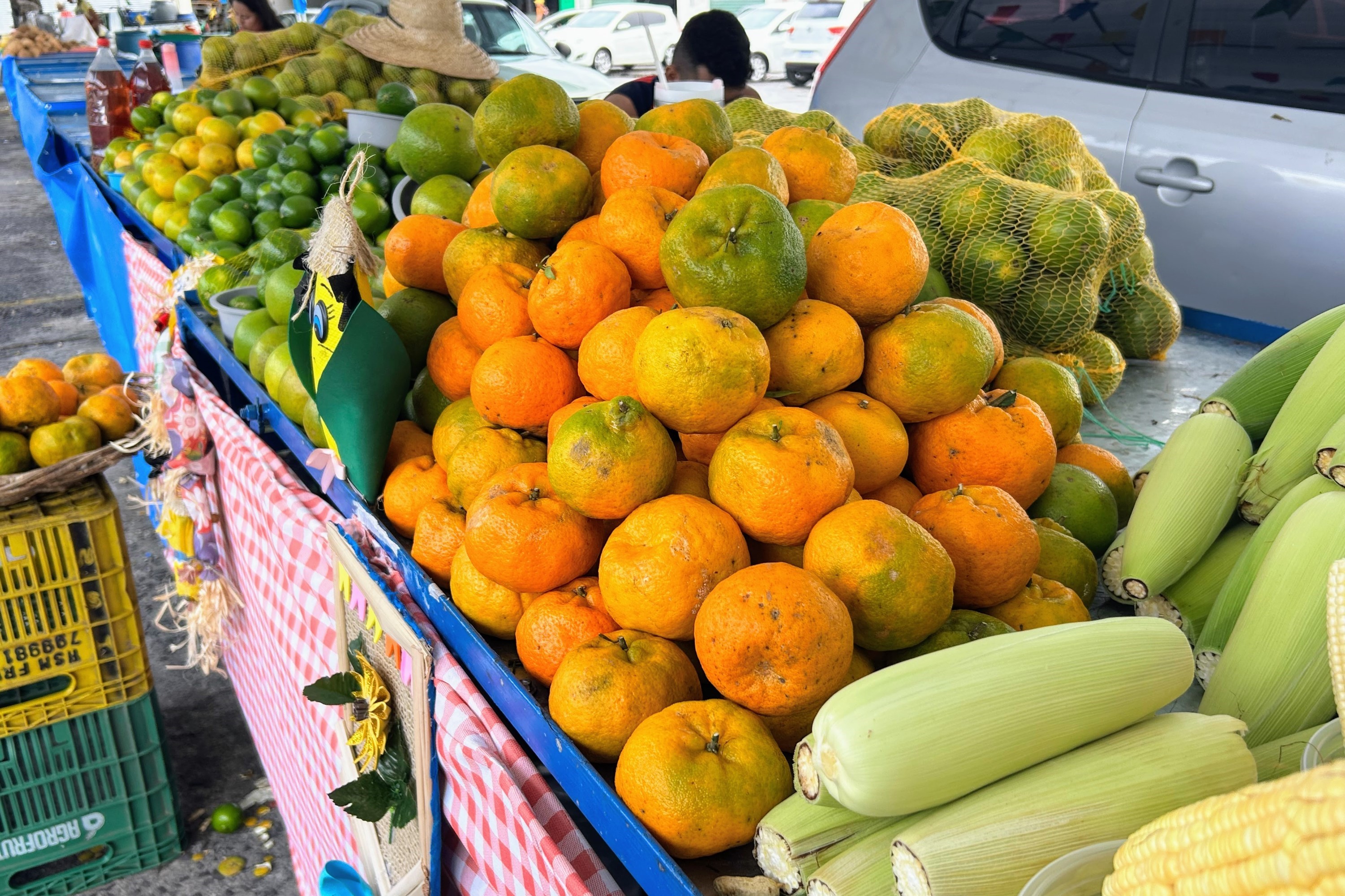 A laranja é produto de exportação em Sergipe, faz parte da tradição junina e está disponível à venda no atacado e varejo na feira da Ceasa / Foto: Fernando Augusto