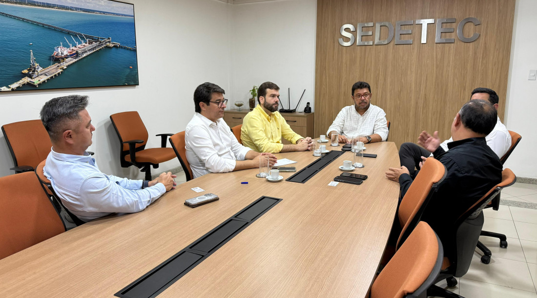 Com apoio do Governo do Estado, projeto prevê investimento estimado em US$ 1 bilhão (mais de R$ 5,5 bilhões) / Foto: Ascom/Sedetec