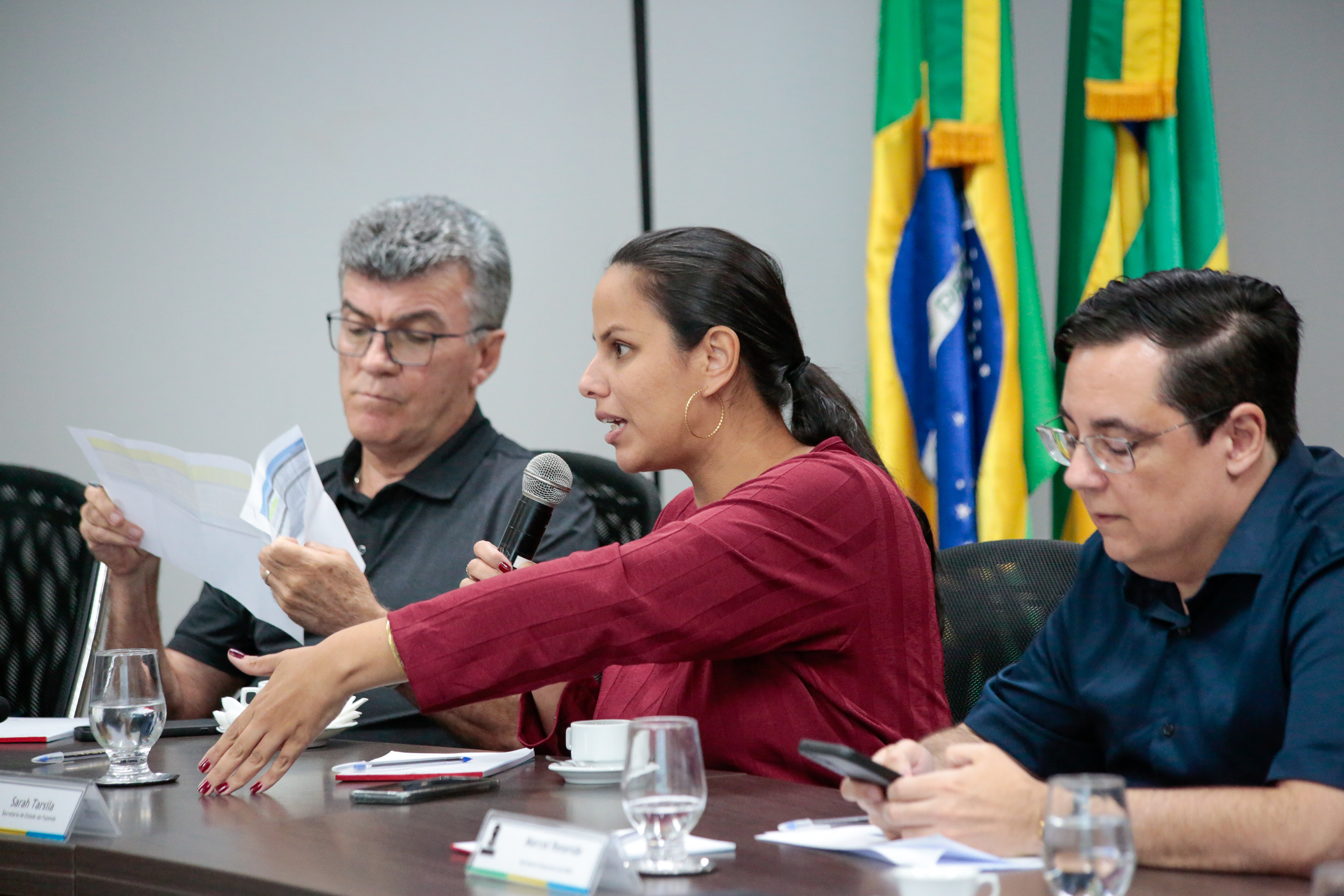 Secretária de Estado da Fazenda, Sarah Tarsila