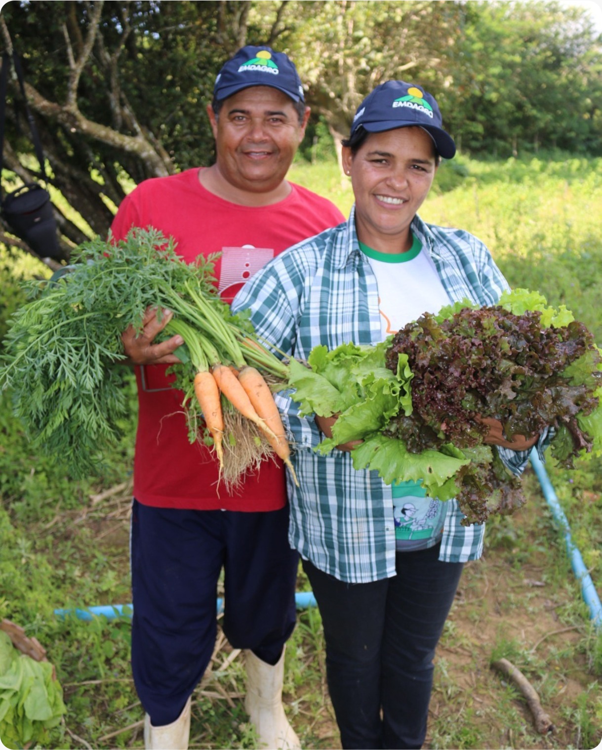 Agricultora Elida Rosa Vieira e esposo cuidam da horta orgânica atendida pela Emdagro