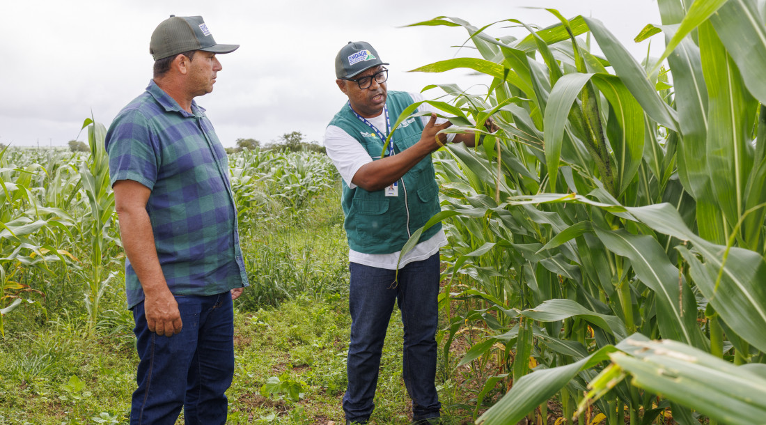 Agricultor Adalgido em Glória / Foto: Igor Matias