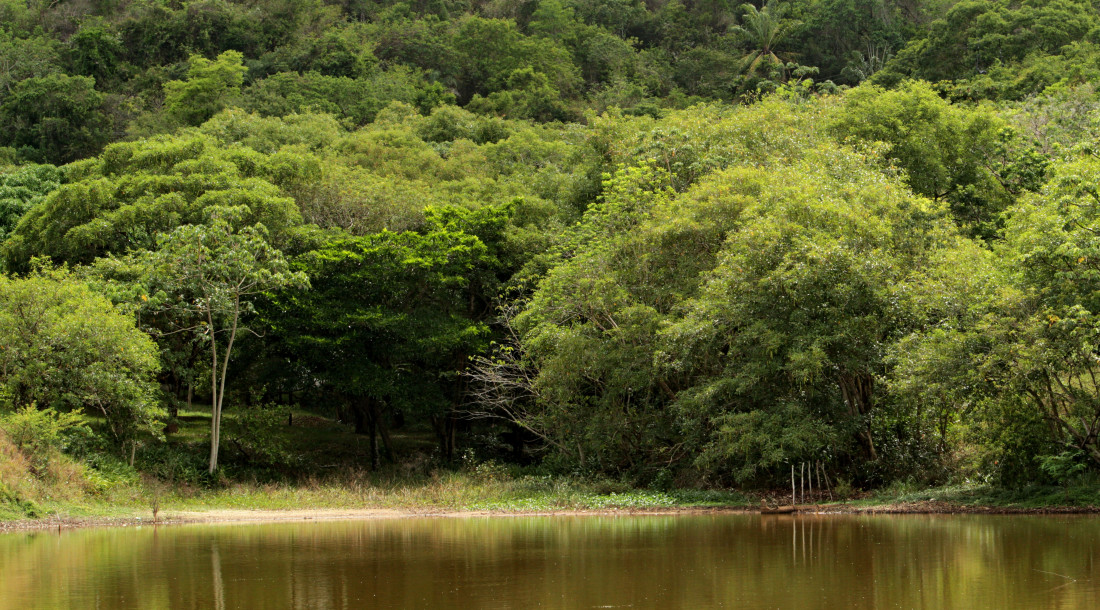 Área de Proteção Ambiental (APA) no Morro do Urubu/Foto: Ascom Semac