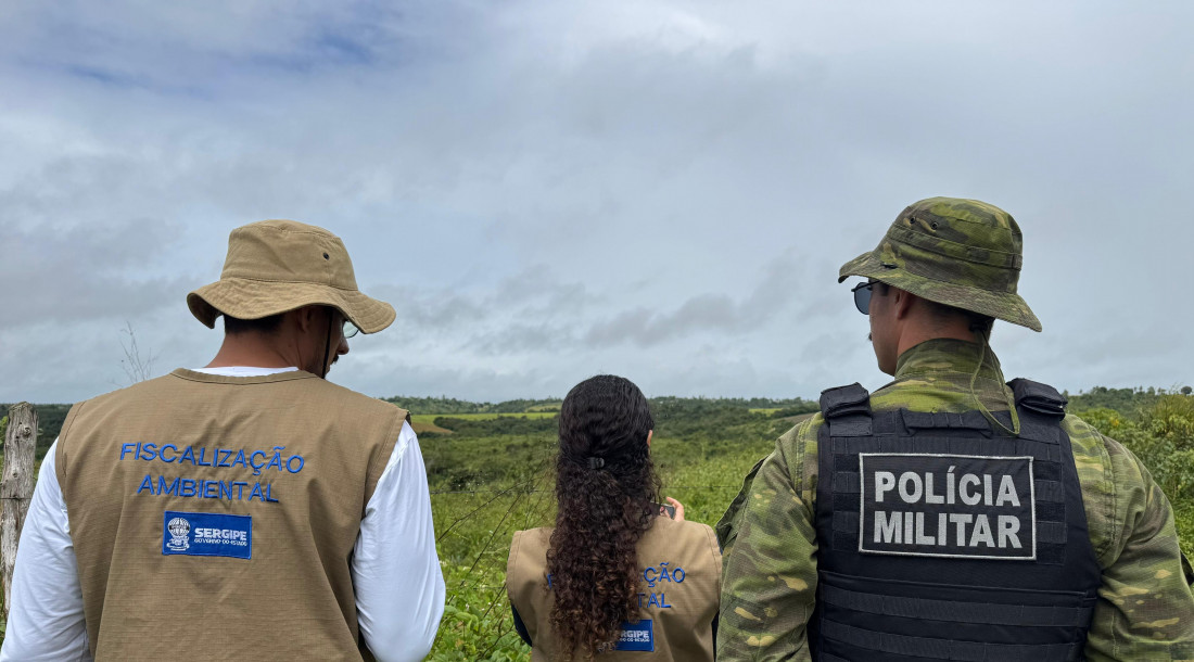 Objetivo é identificar e fiscalizar alvos de denúncias de desmatamento do bioma, responsabilizando infratores e cessando atividades ilícitas / Fotos: Mariana Carvalho, Verônica Moura e Lucas Campos