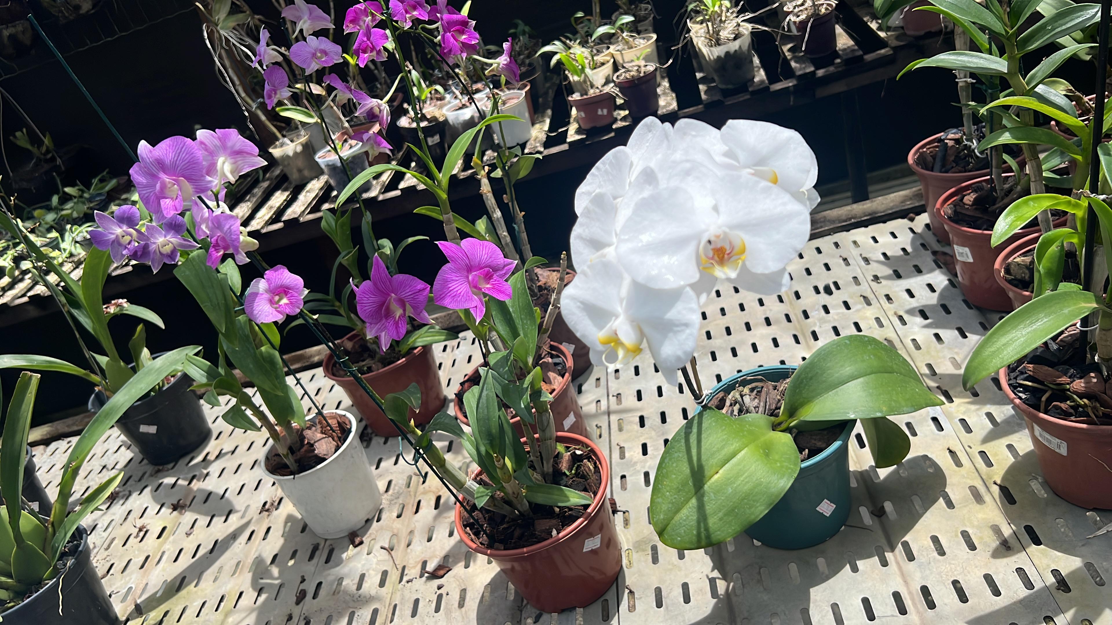 Em Sergipe, a primavera deve apresentar temperaturas acima da média climatológica e chuvas variando de normal a acima do esperado / Foto: Ascom Semac