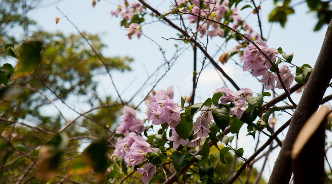 Primavera em Sergipe terá temperaturas acima da média e possibilidade de ventanias  /  Foto: Marcos Rodrigues