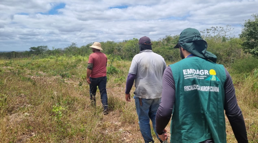 Uso de agrotóxicos é uma prática que exige responsabilidade e conhecimento técnico / Fotos: Ascom Emdagro