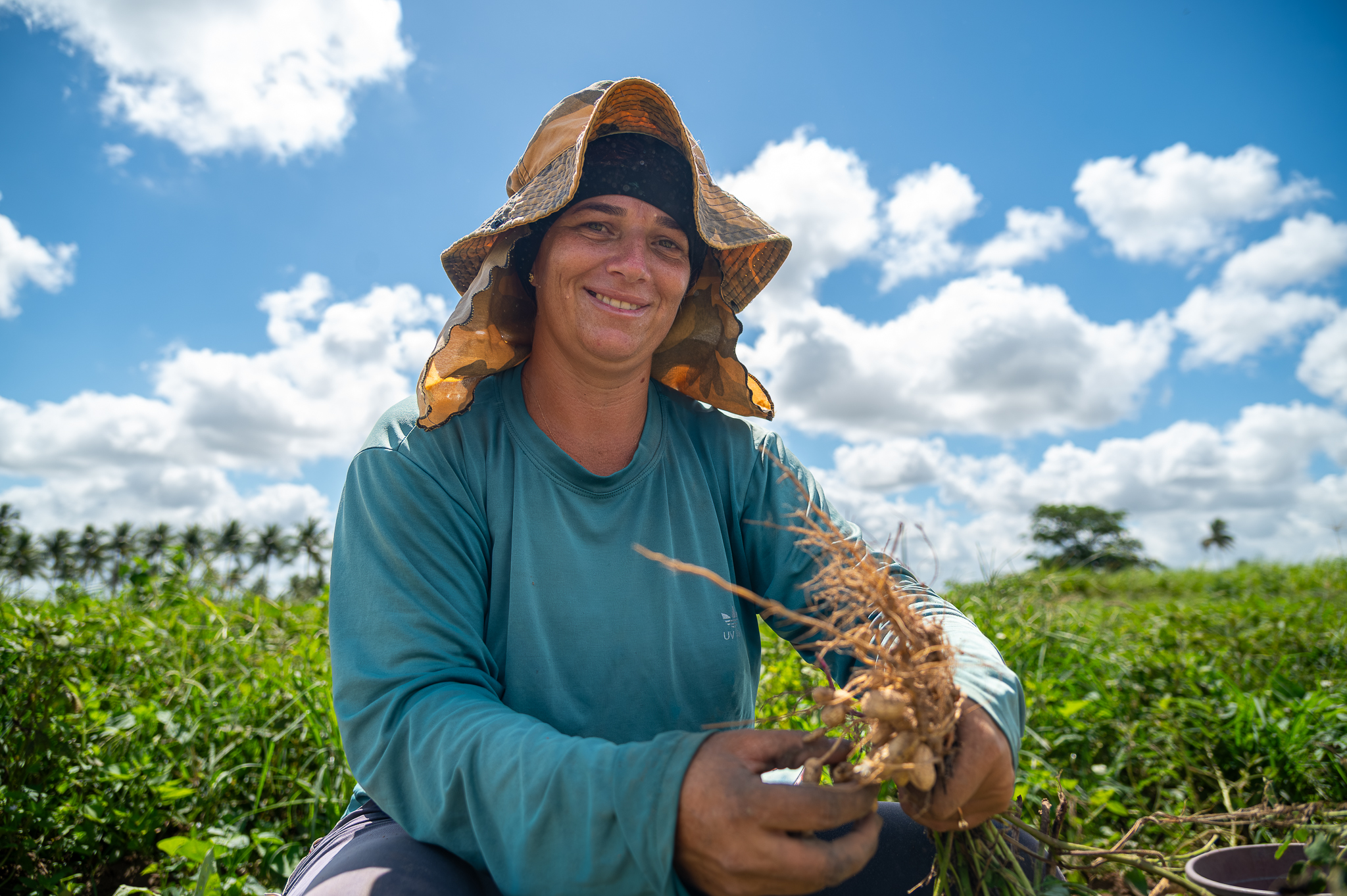 Trabalhadores precisam ser contratados para a colheita do amendoim | Foto: Thiago Santos
