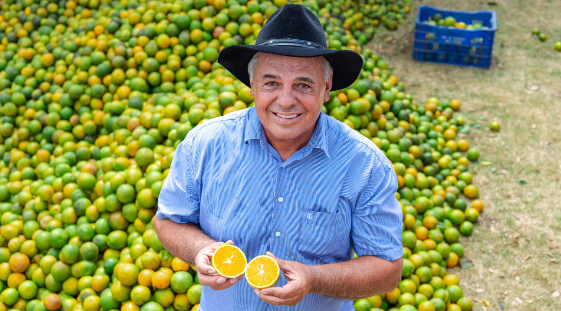 Comércio de frutas cítricas responde por 82,8% das exportações acumuladas do agronegócio / Foto: Thiago Santos