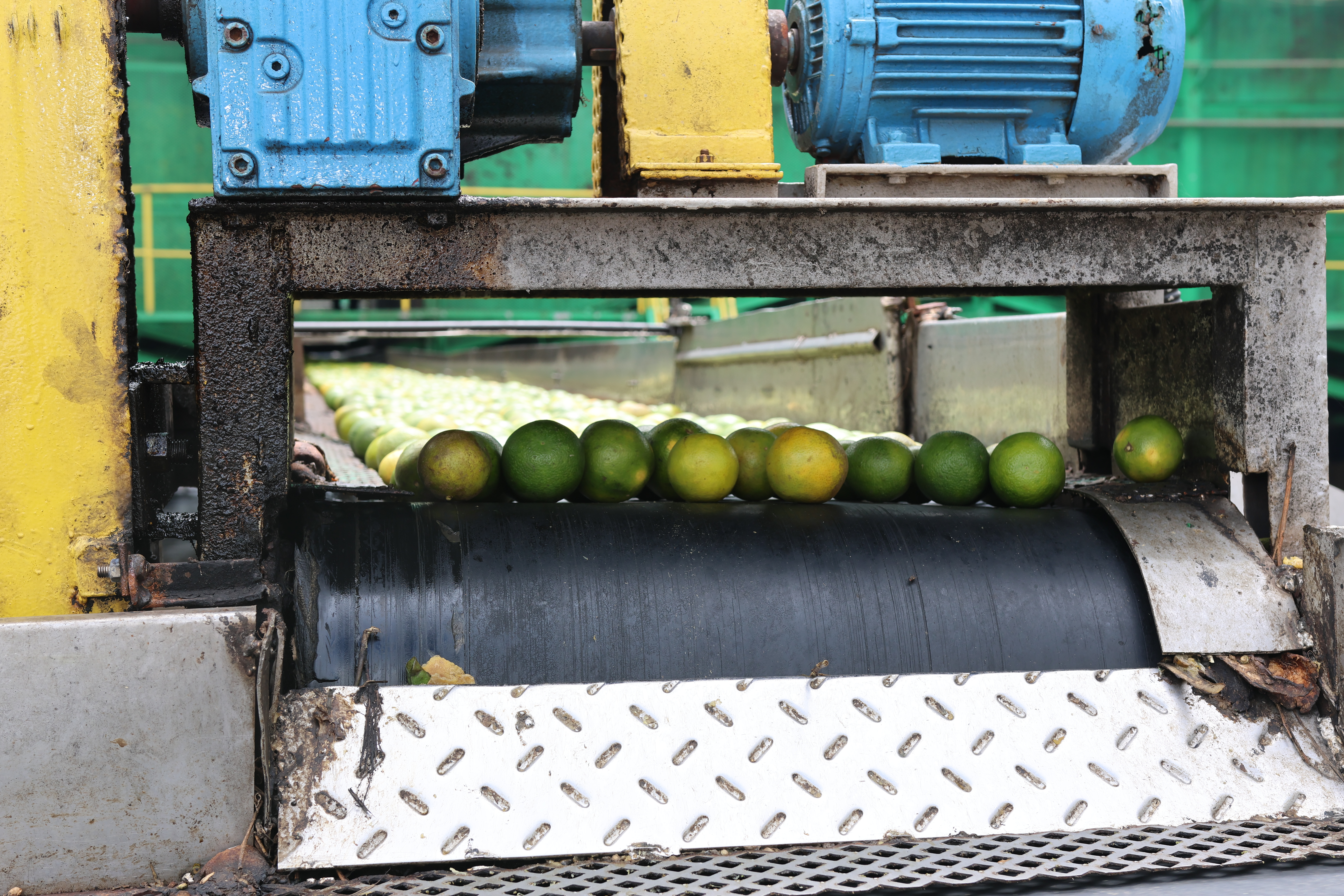 Foto: Ascom/Desenvolve-SE