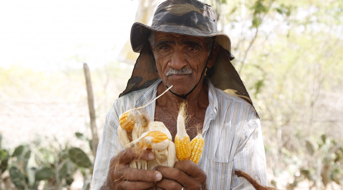 Fotos: Vieira Neto/Ascom Seagri