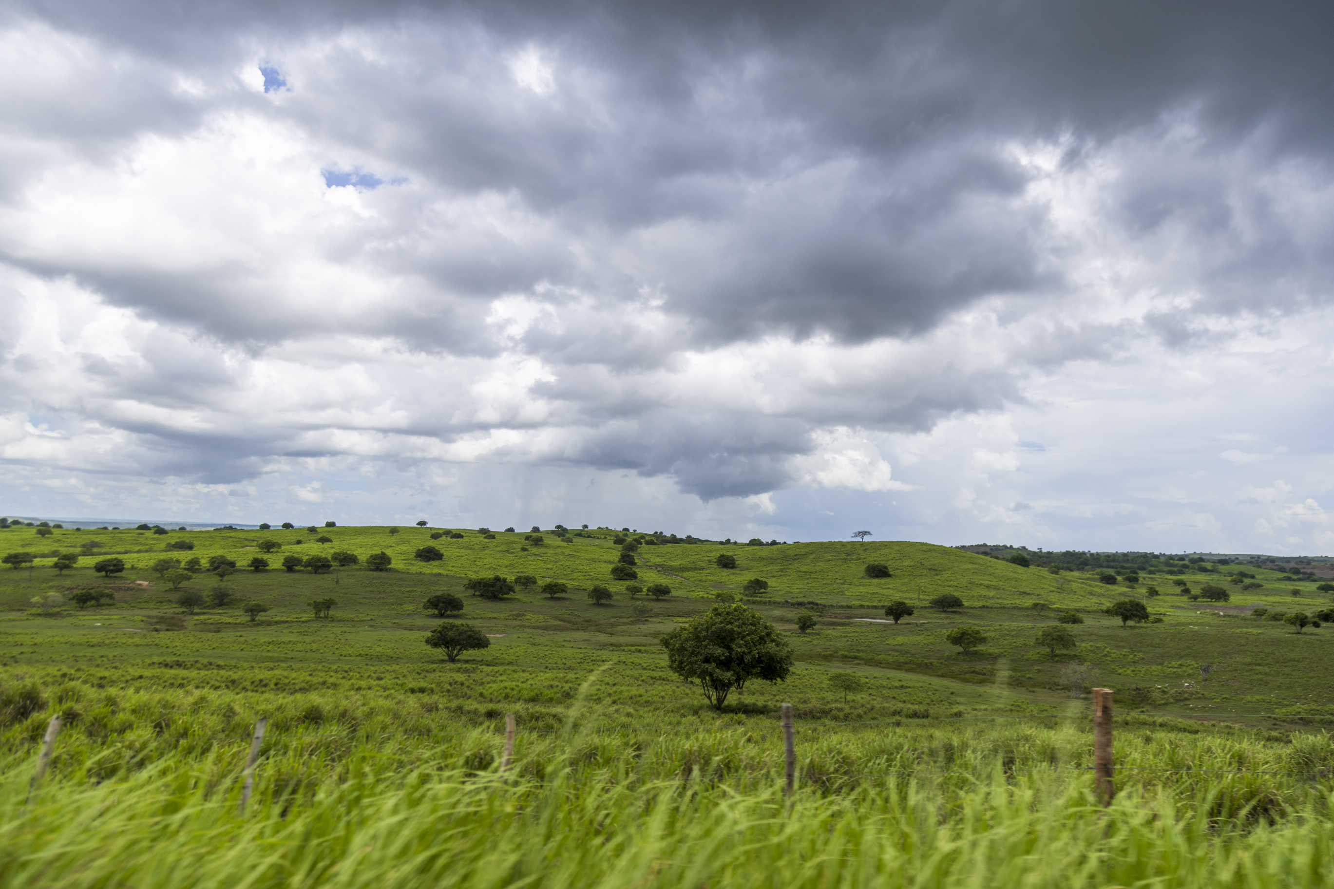 Governo de Sergipe renova aviso meteorológico para chuvas moderadas a intensas em todo o estado