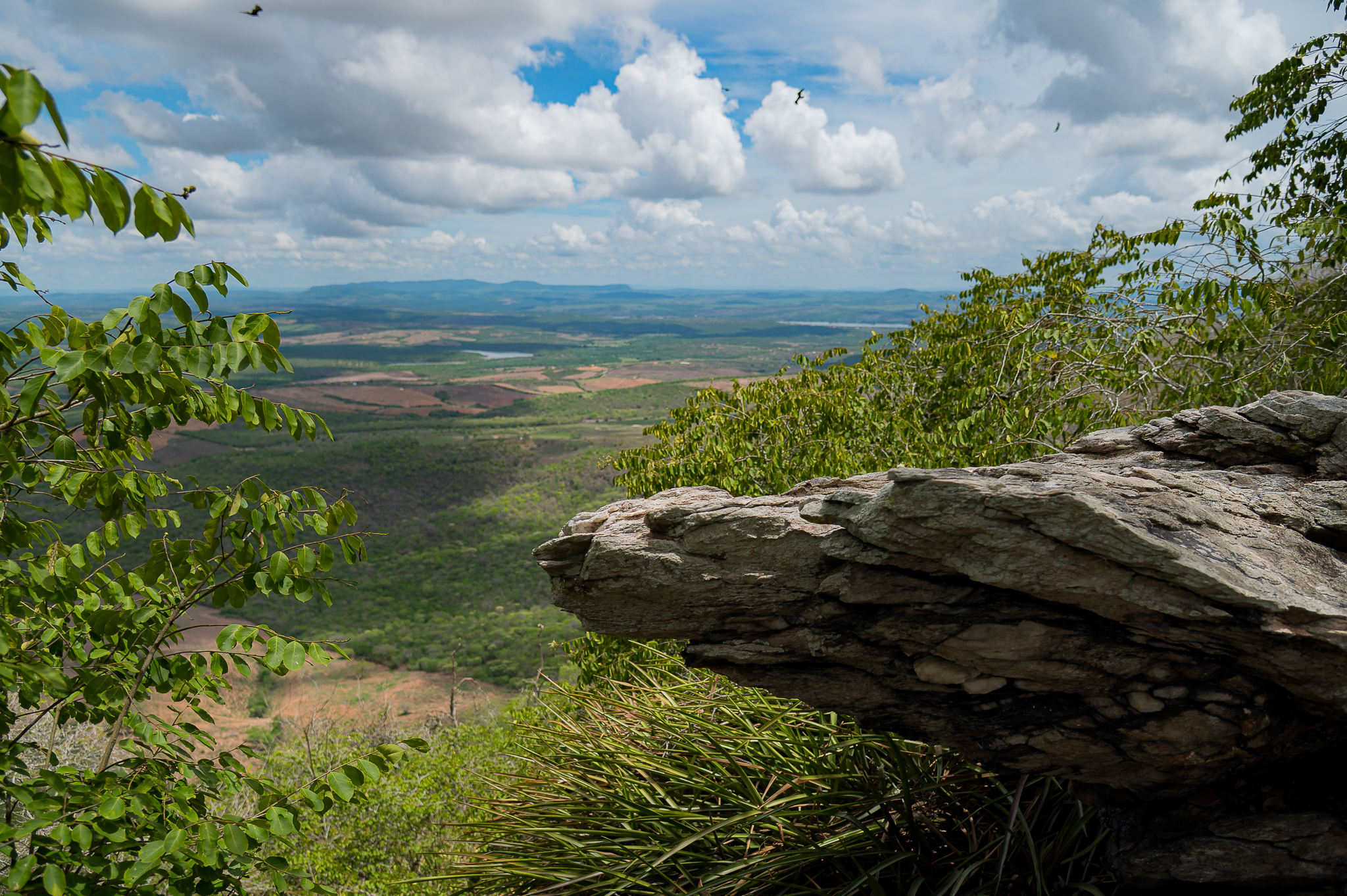 Governo de Sergipe cria Monumento Natural Serra da Melancia e fortalece proteção ambiental no sertão