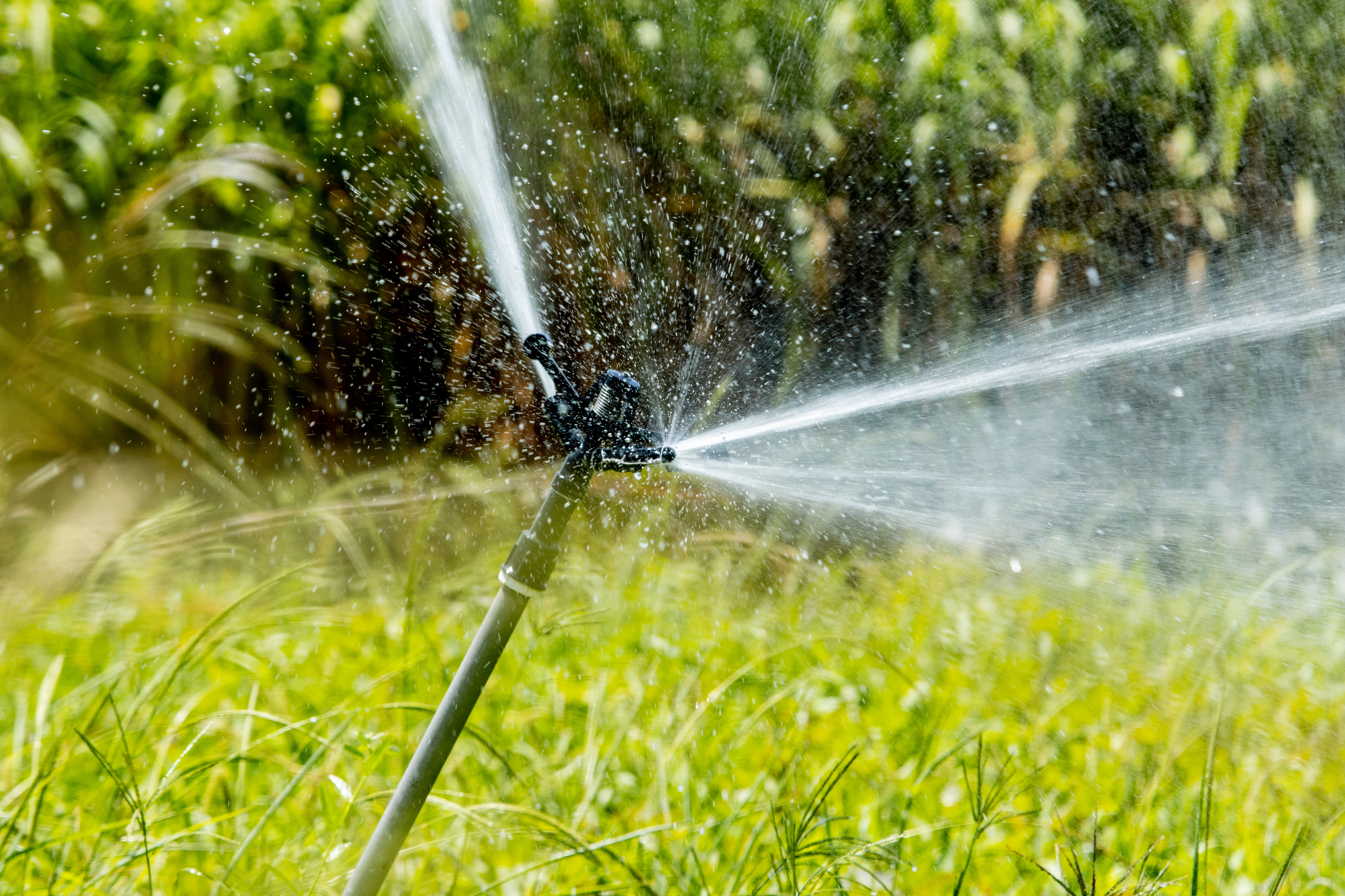 Irrigação em Lagarto / Foto: Arquivo Secom