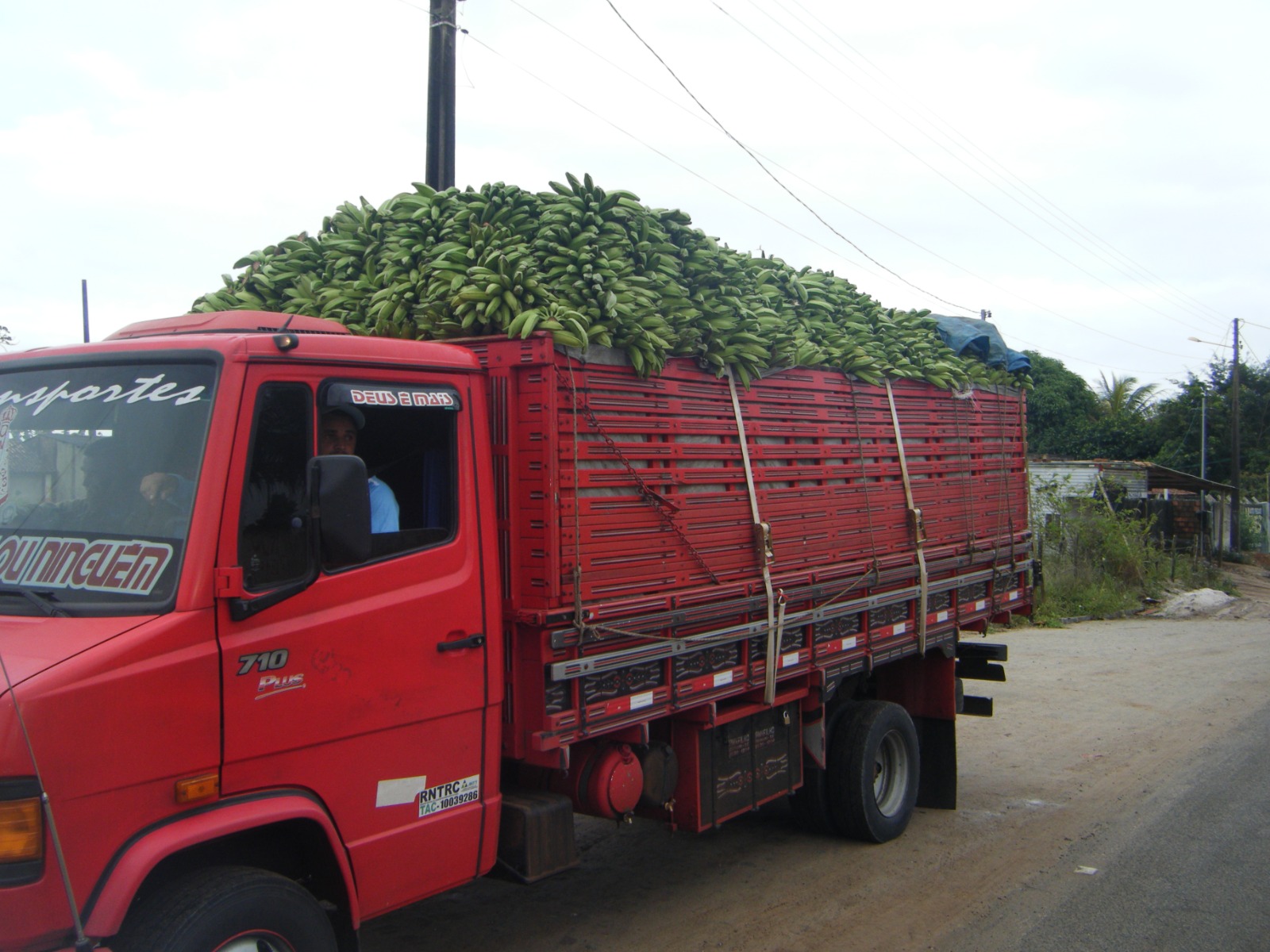 Fotos: Ascom Emdagro